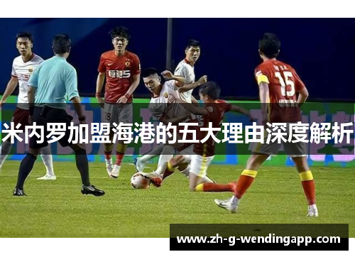 米内罗加盟海港的五大理由深度解析