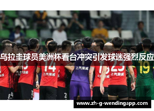 乌拉圭球员美洲杯看台冲突引发球迷强烈反应