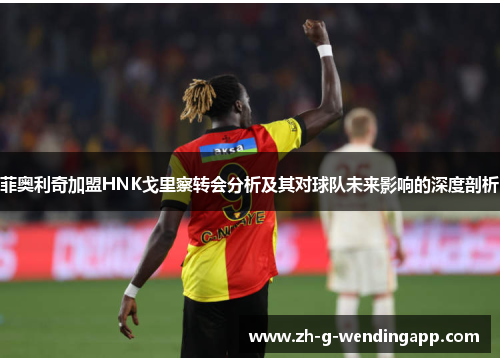 菲奥利奇加盟HNK戈里察转会分析及其对球队未来影响的深度剖析